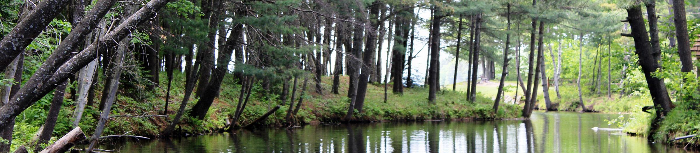 Rate Your Shoreline Tomahawk Lake Association