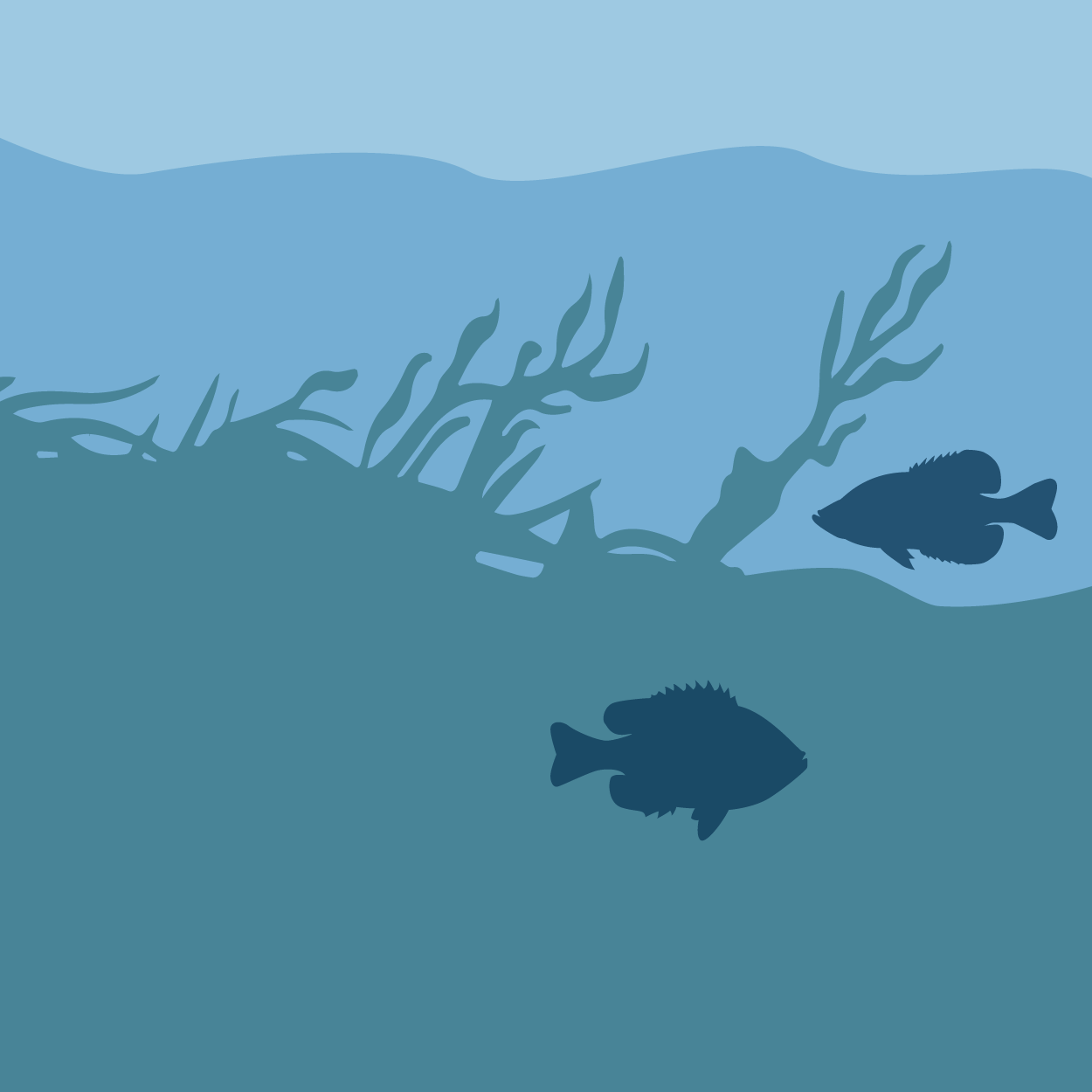 Lake Protection Tomahawk Lake Association