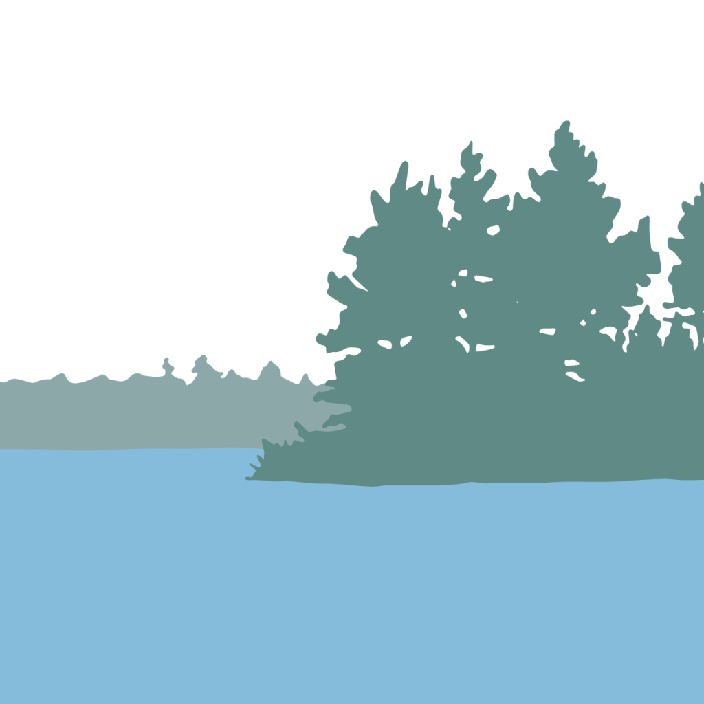 Lake Protection Tomahawk Lake Association