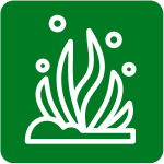 Dockside EWM Pickup icon